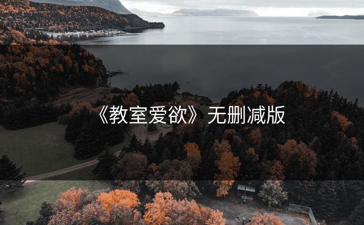 《教室爱欲》无删减版