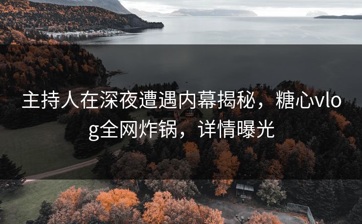 主持人在深夜遭遇内幕揭秘，糖心vlog全网炸锅，详情曝光
