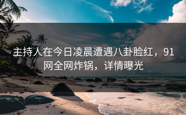 主持人在今日凌晨遭遇八卦脸红，91网全网炸锅，详情曝光