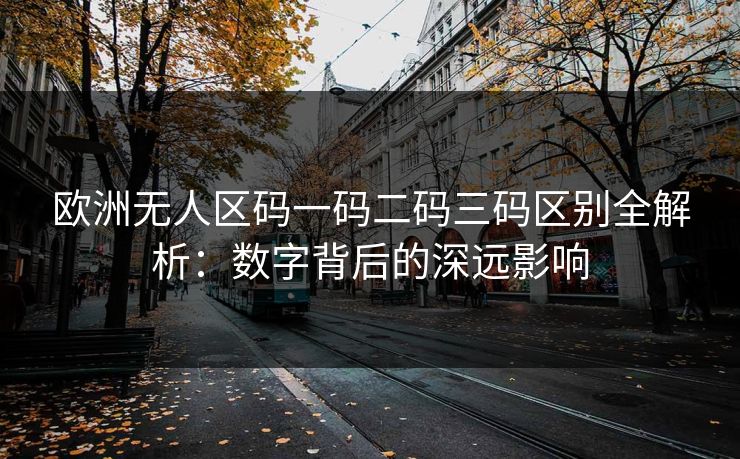 欧洲无人区码一码二码三码区别全解析：数字背后的深远影响