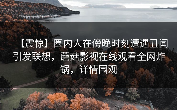 【震惊】圈内人在傍晚时刻遭遇丑闻引发联想，蘑菇影视在线观看全网炸锅，详情围观
